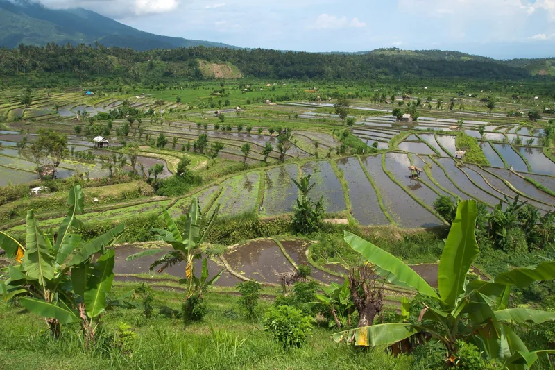Water-filled rice terraces spread across a valley below distant mountains in Bali.