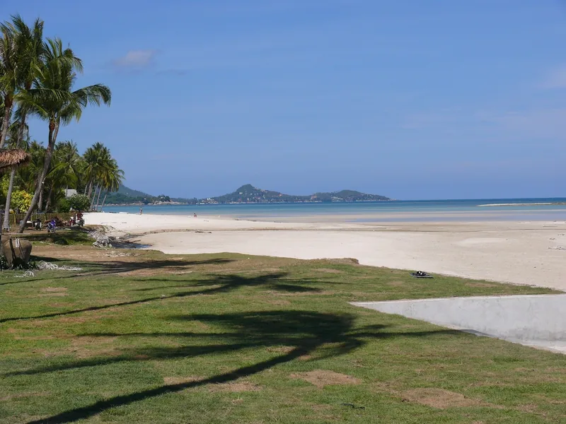 Coconut palms line a wide sandy beach with calm turquoise water on Koh Samui island