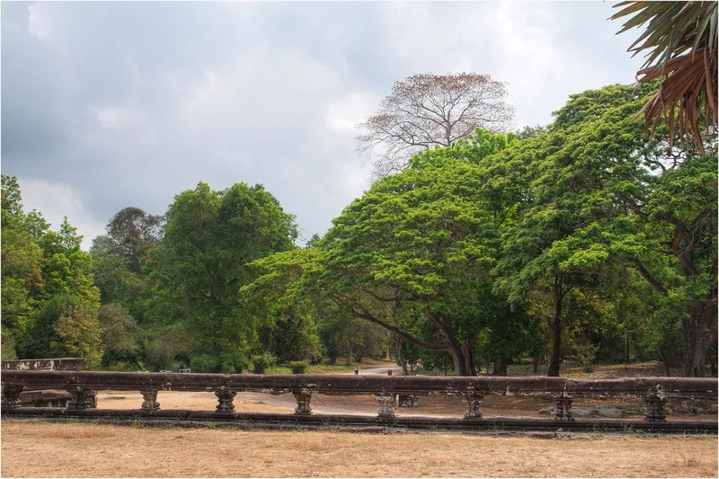 A stone naga-balustrade causeway lined with tall trees near Angkor Wat in Siem Reap.