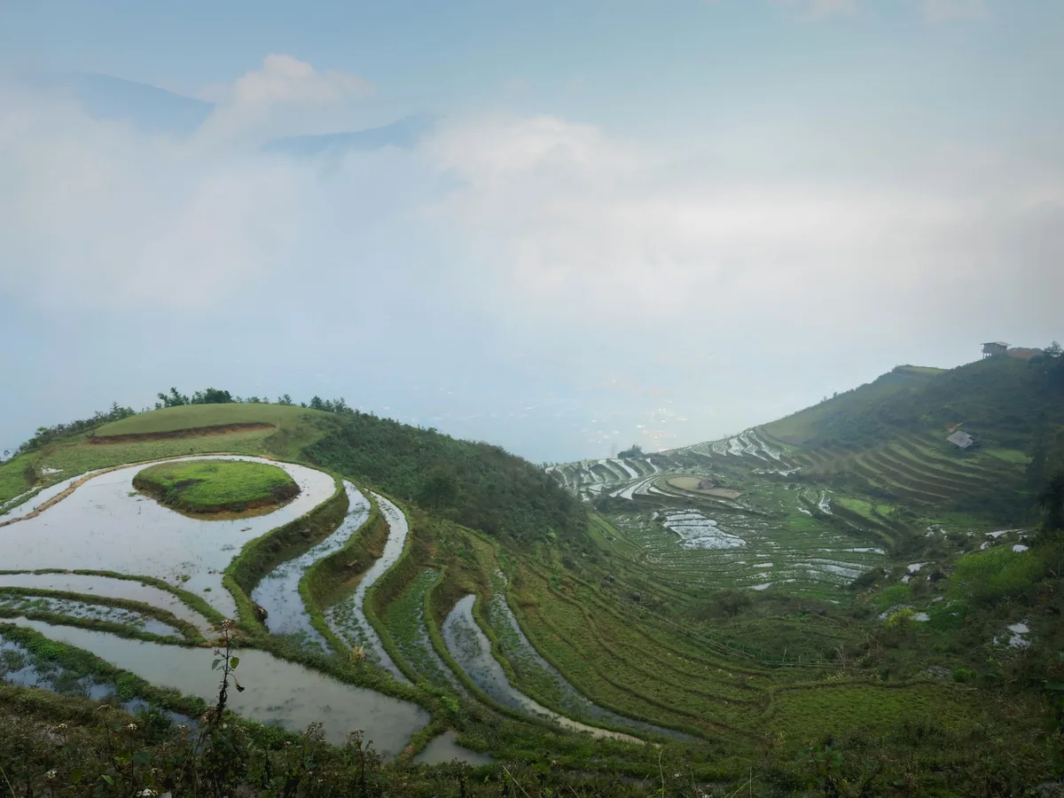 Water-filled rice terraces curve across misty mountain slopes near Sapa, Vietnam.