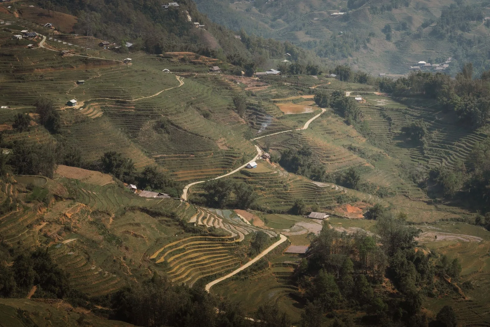 Aerial view of terraced rice fields and a winding dirt road through the hills near Sapa.