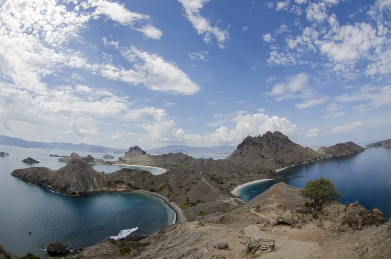 Aerial view of Padar Island's dramatic peaks and turquoise bays near Komodo, Labuan Bajo.
