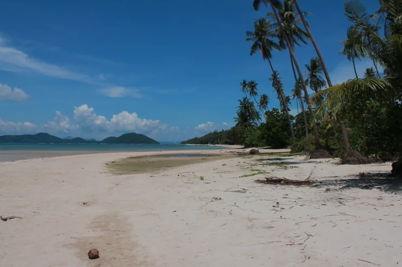 A quiet white-sand beach lined with tall palm trees on Koh Samui, with hills visible across the calm sea.