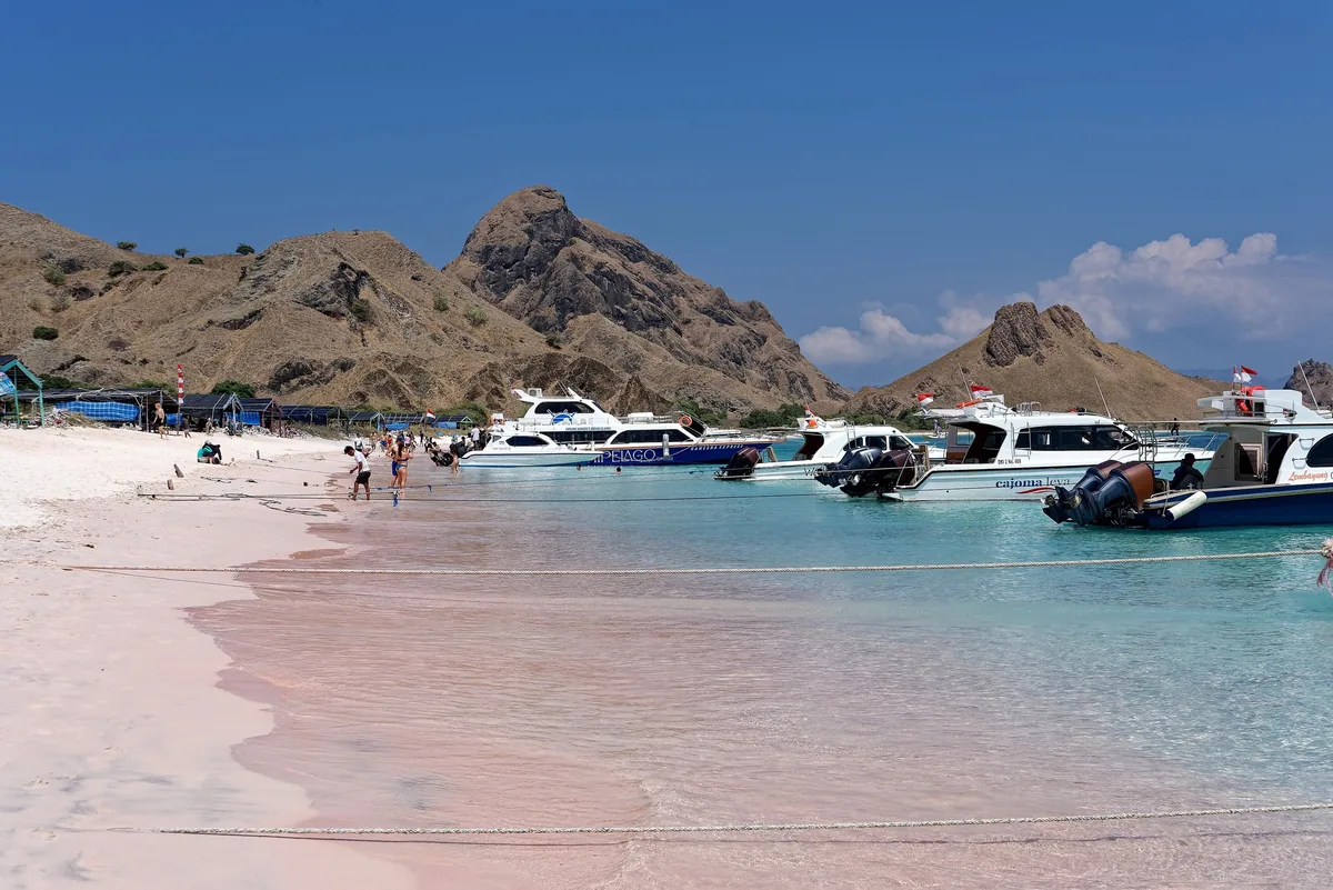 Tour boats anchor off Pink Beach with rugged hills rising behind, Komodo National Park.
