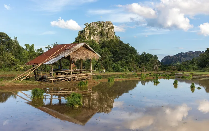 A thatched hut with reflection stands beside a flooded rice field below a limestone karst in Vang Vieng, Laos.