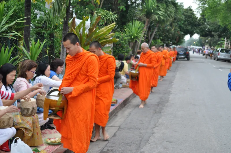 Buddhist monks in orange robes walk barefoot along a street collecting alms from kneeling locals in Luang Prabang.