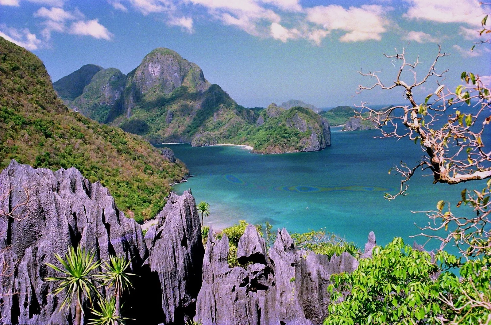 Jagged limestone cliffs overlook a turquoise bay and forested karst islands in El Nido, Palawan.