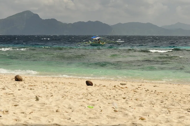 A traditional outrigger boat sails past a sandy beach with fallen coconuts near El Nido, Palawan.