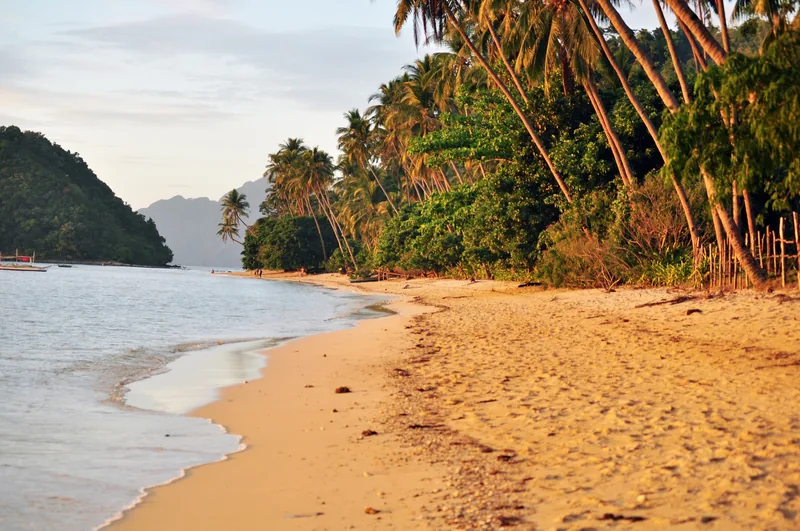 Palm-lined golden sand beach curves along calm waters with distant limestone hills in El Nido, Palawan.
