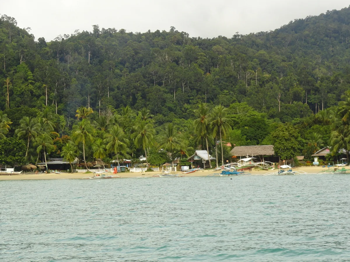 Outrigger boats line a palm-fringed sandy beach beneath forested hills near Port Barton, Palawan.