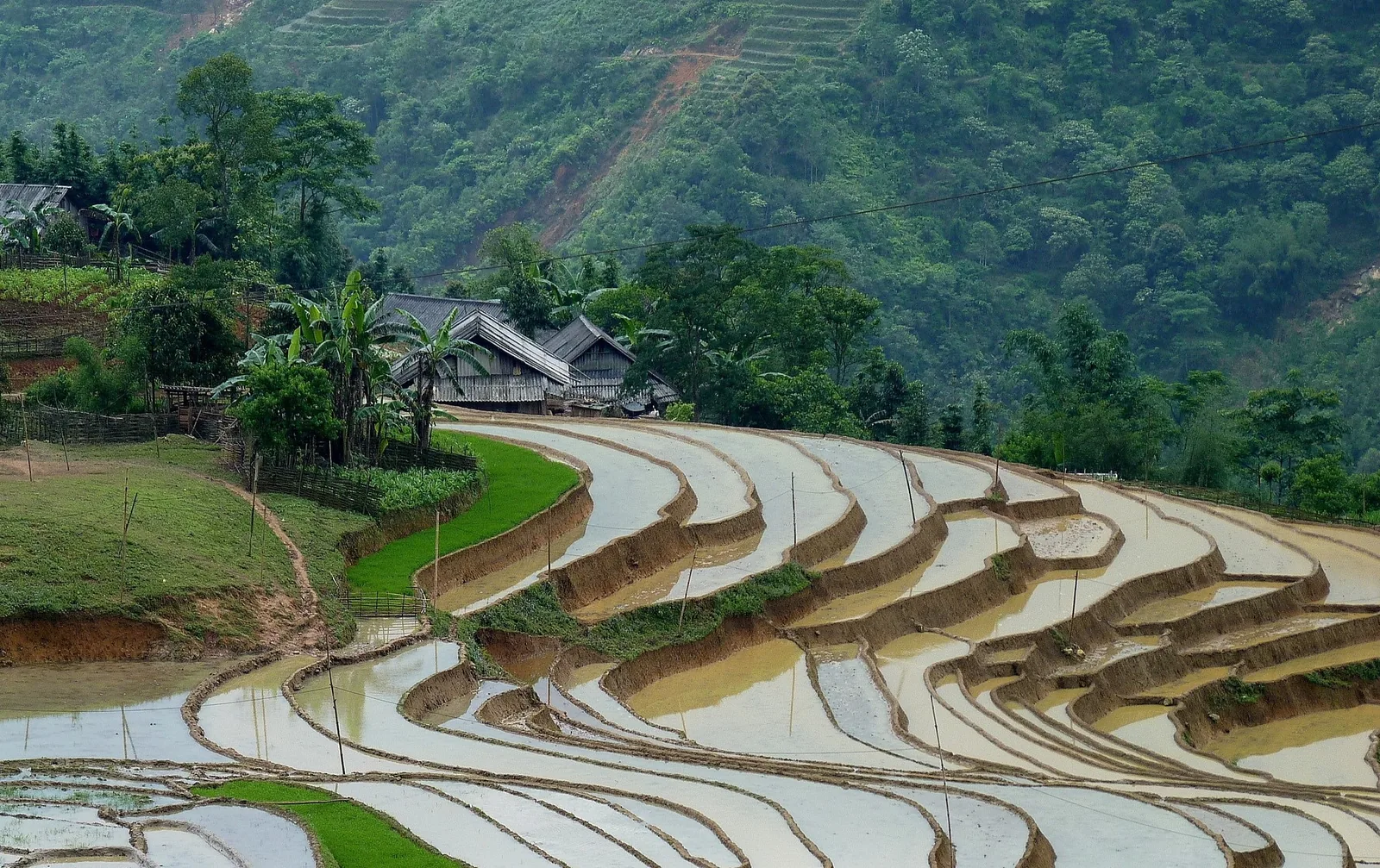 Water-filled rice terraces curve around a hillside village near Sapa, Vietnam.