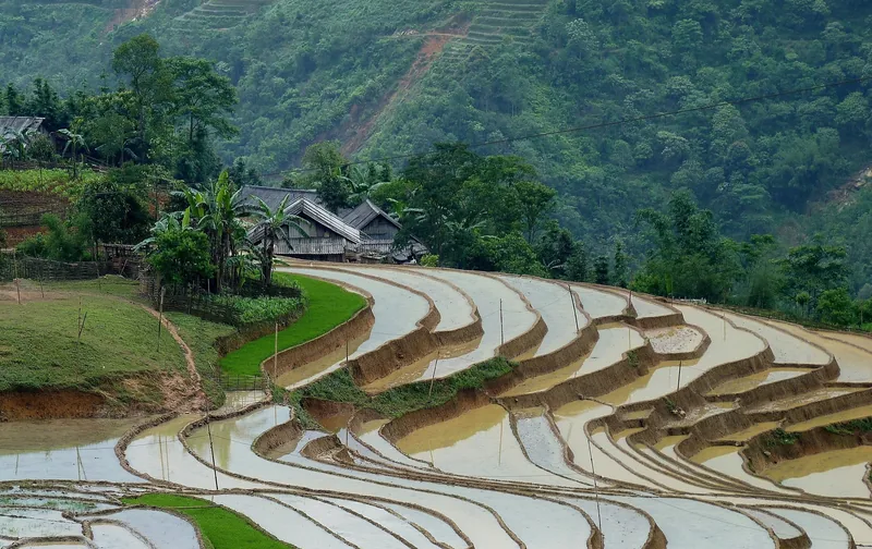 Water-filled rice terraces curve around a hillside village near Sapa, Vietnam.
