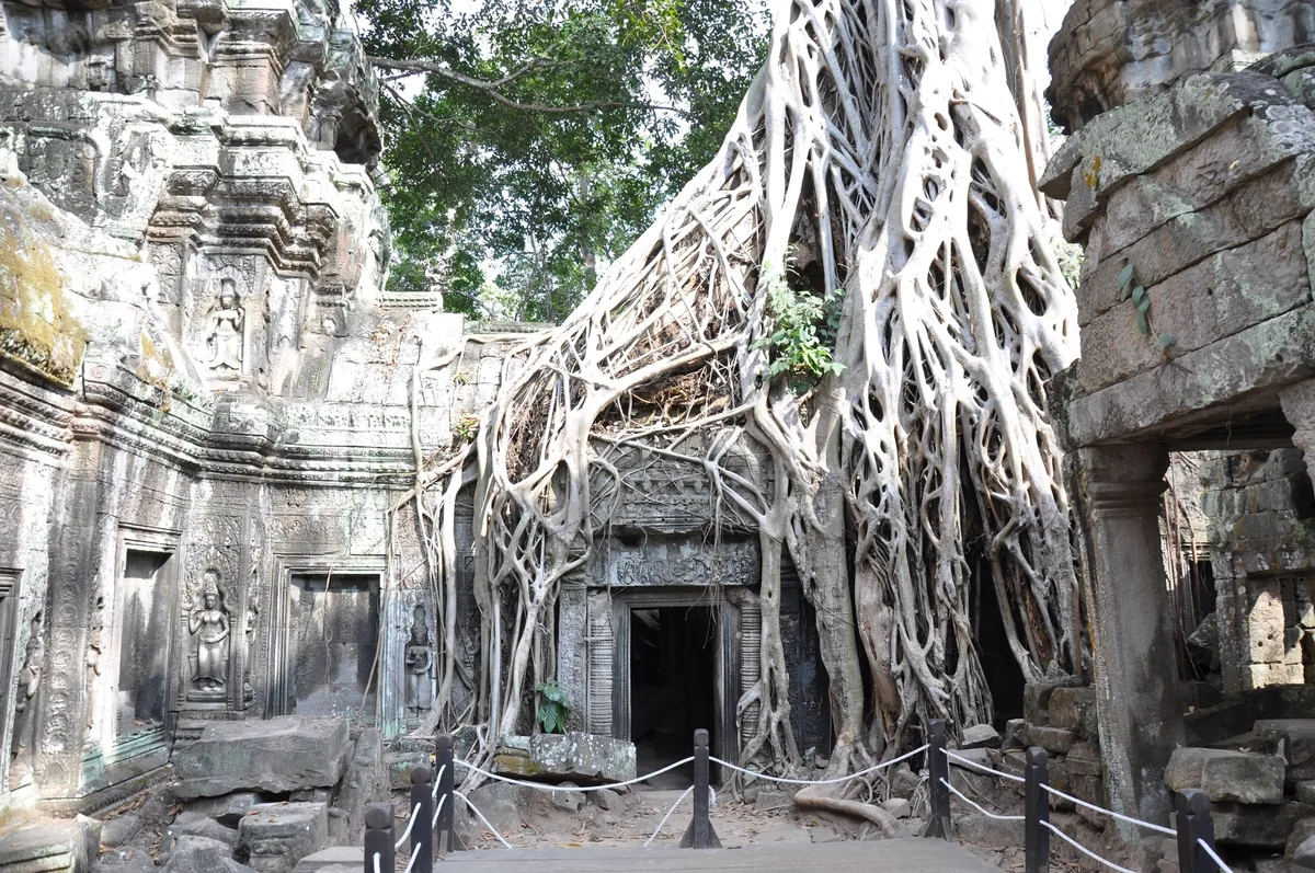 Massive tree roots engulf the ancient stone doorways of Ta Prohm temple near Siem Reap, Cambodia.