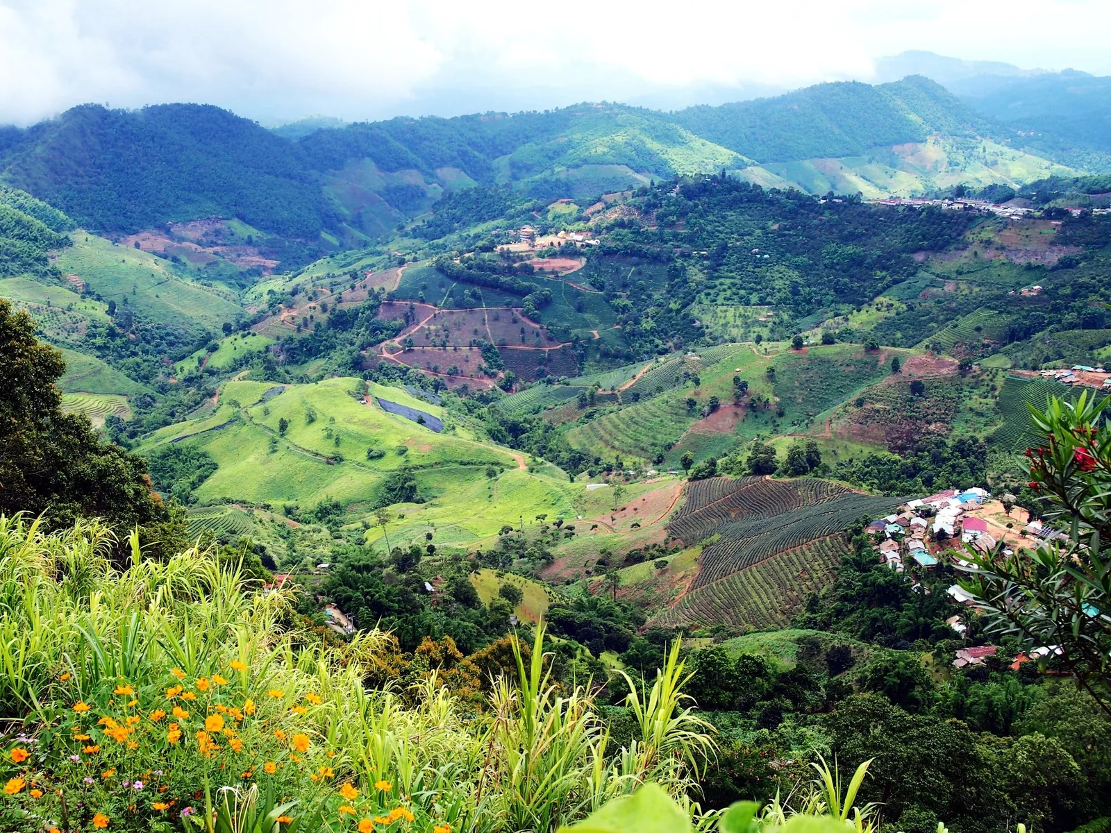 Terraced hills and a small village nestled among green mountains near Mae Salong, Chiang Rai.
