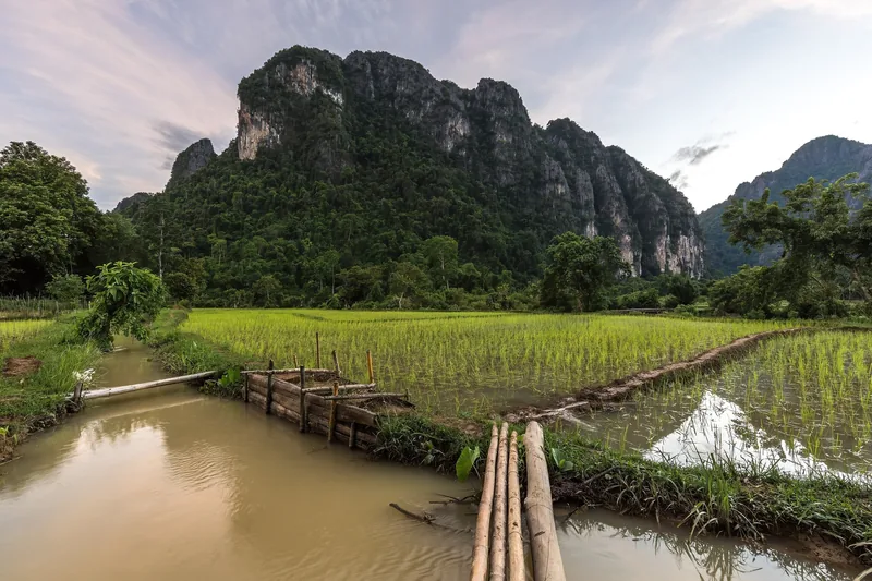 Limestone karst mountains rise behind flooded rice paddies with a bamboo footbridge near Vang Vieng, Laos.