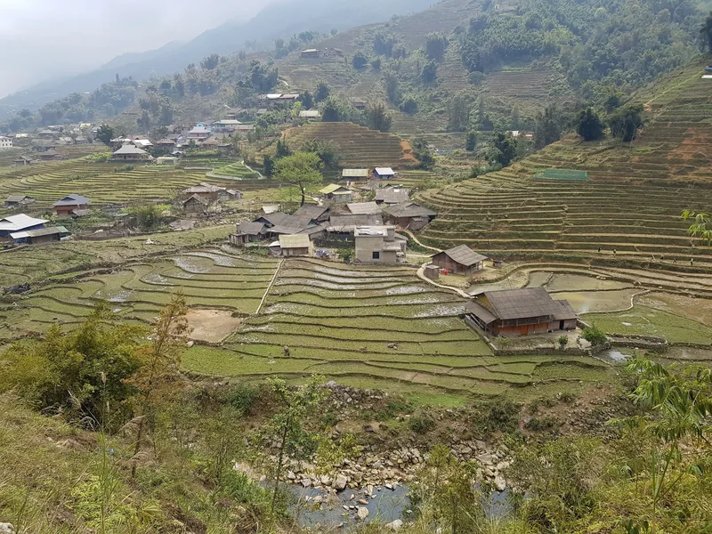 Terraced rice fields surround a small village in the Muong Hoa valley near Ta Van, Sapa.