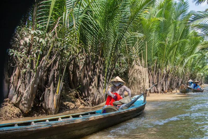 A woman in a conical hat paddles a small wooden boat along a narrow canal lined with nipa palms in the Mekong Delta.