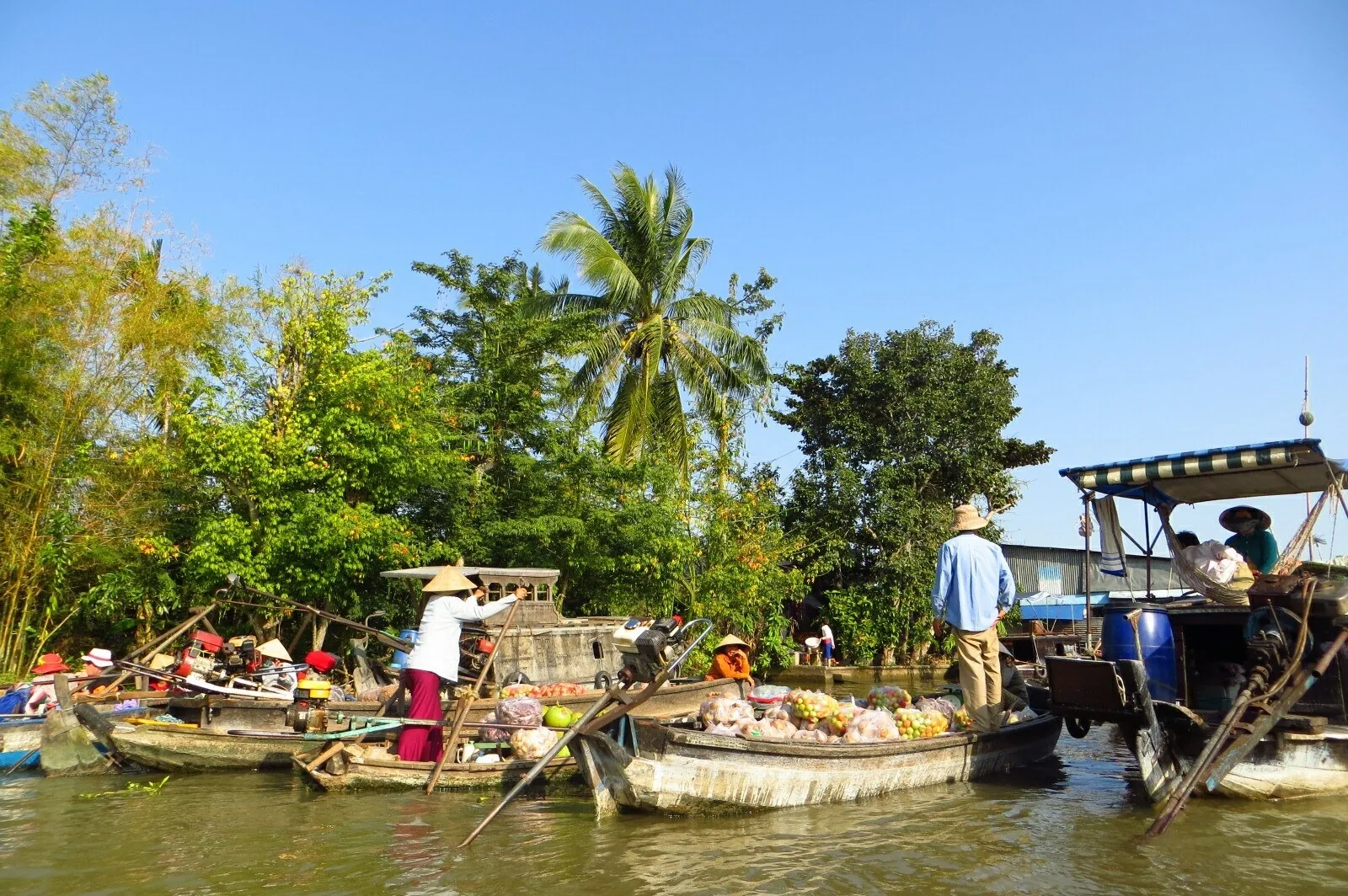 Vendors in conical hats paddle boats loaded with fruit at the Mekong Delta floating market near Can Tho.