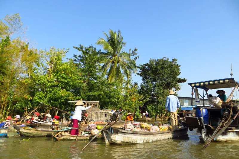 Vendors in conical hats paddle boats loaded with fruit at the Mekong Delta floating market near Can Tho.