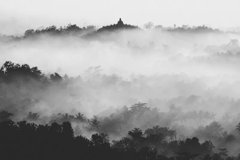 Borobudur temple's silhouette rises above misty jungle canopy in Java at dawn
